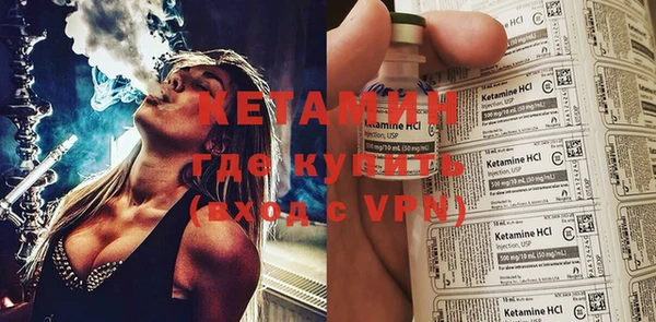 хмурый Аркадак