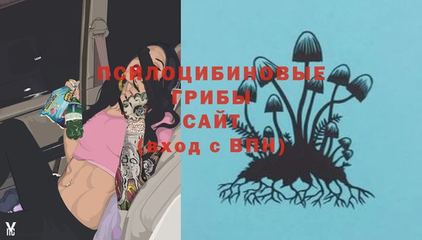 альфа пвп Армянск