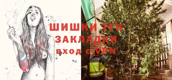 молекула духа Алексин