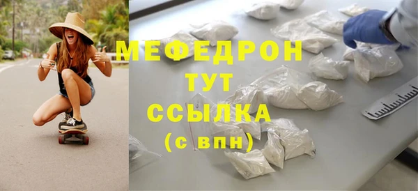 хмурый Аркадак