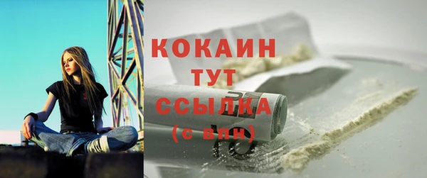 хмурый Аркадак