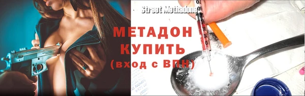 хмурый Аркадак