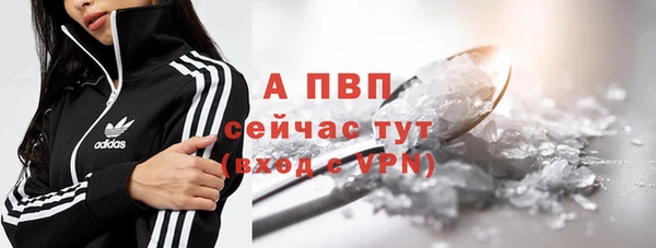 стафф Арсеньев