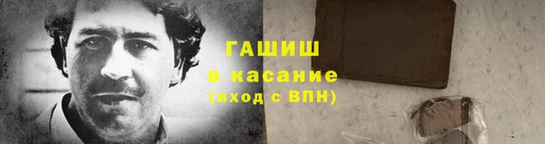 хмурый Аркадак