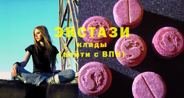 хмурый Аркадак