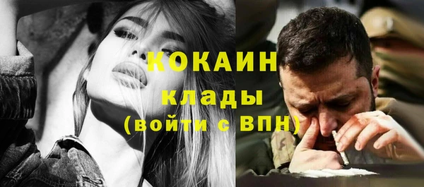 стафф Арсеньев
