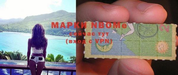 хмурый Аркадак