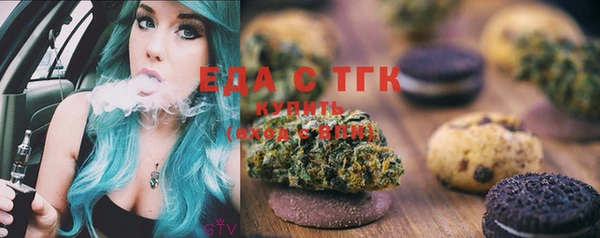 хмурый Аркадак