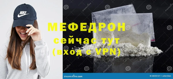 хмурый Аркадак