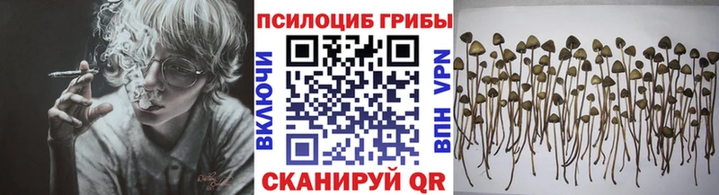 Галлюциногенные грибы мицелий Балабаново