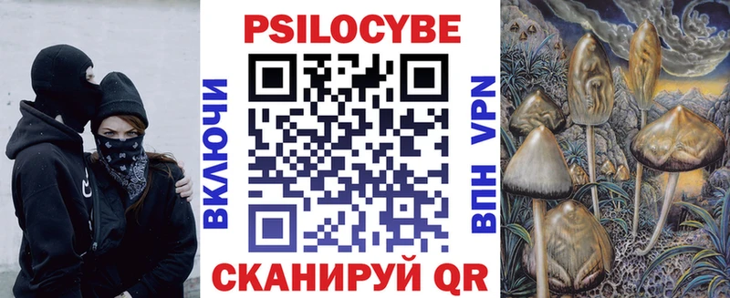 кракен как зайти  Балабаново  Псилоцибиновые грибы Cubensis 